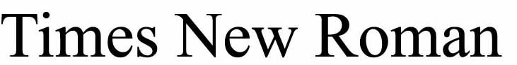 Font Times New Roman